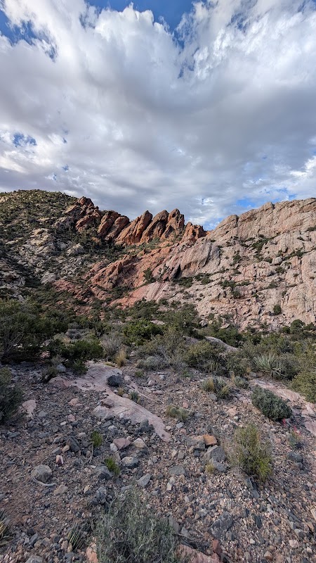 La Madre Mountain Wilderness