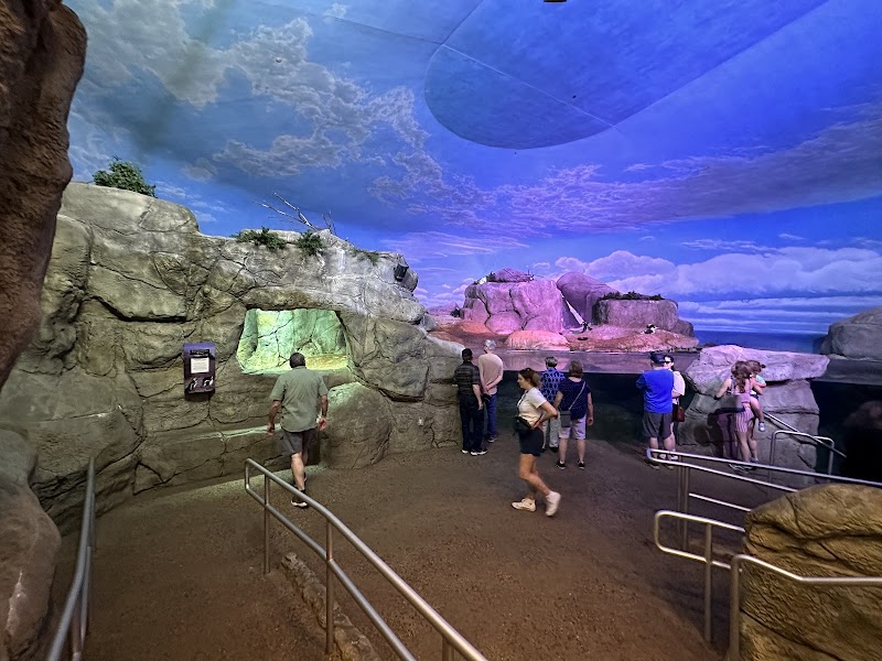 John Ball Zoo - Van Andel Living Shores Aquarium