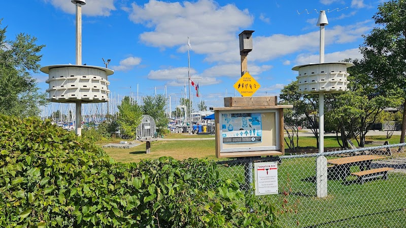 Purple Martin Sanctuary