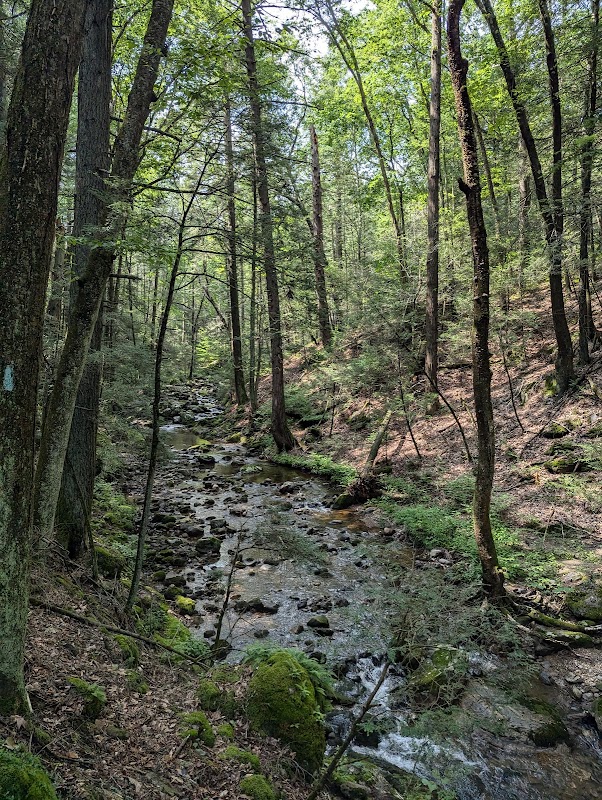 Spruce Brook Trail