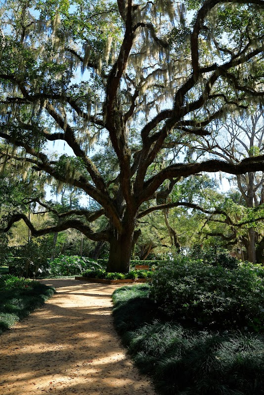 The Rocks-Washington Oaks State Park
