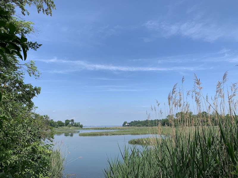 Udall's Cove And Ravine Natural Resource Area