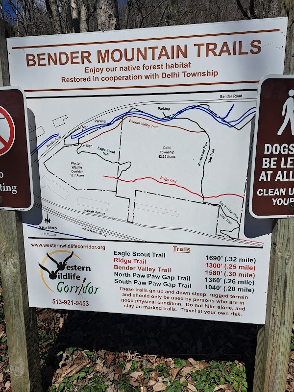 Rapid Run Creek Observation Area