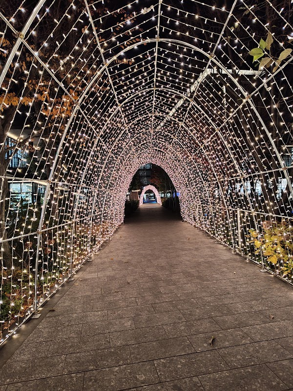 グリーンスプリングスイルミネーション