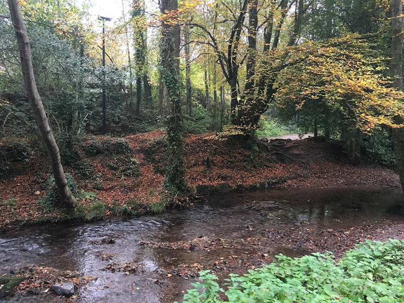 Ballybrack Woods (Mangala)
