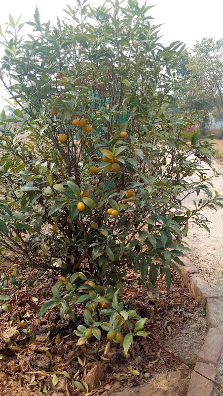 SNU, Biodiversity Park