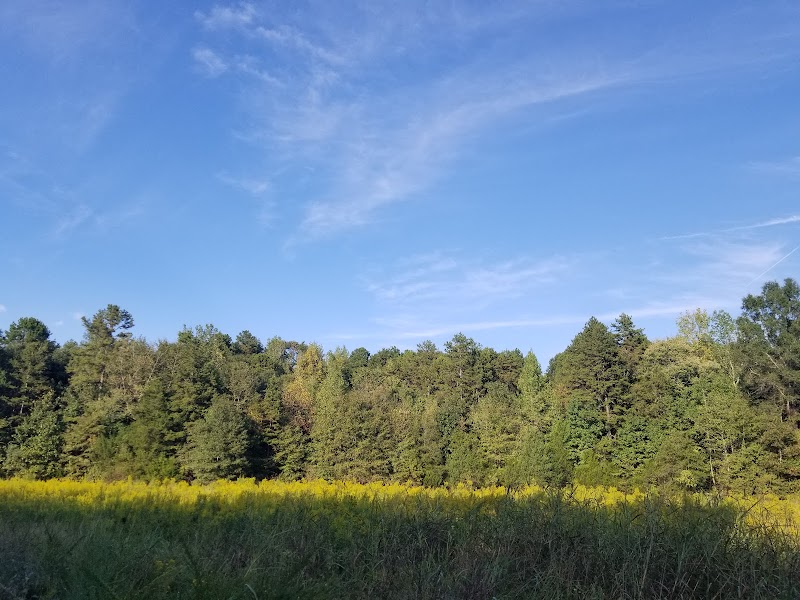 West Branch Rocky River Greenway (Abersham Loop Entrance)