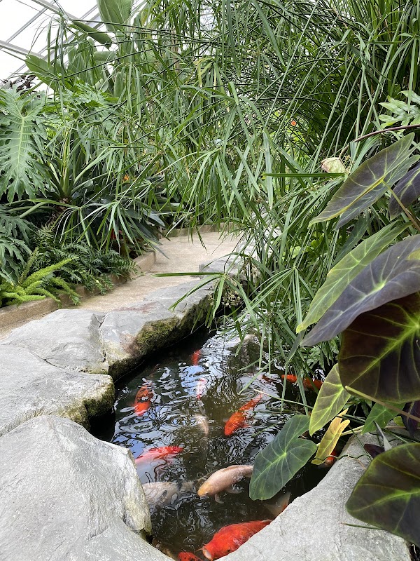 Rawlings Conservatory