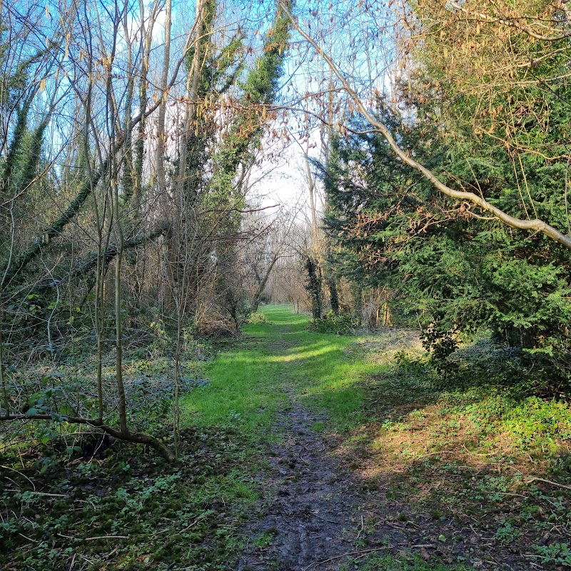 Coulsdon Coppice, London Wildlife Trust