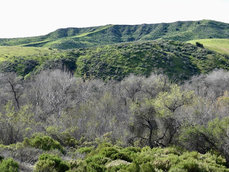 Pilgrim Creek Ecological Reserve