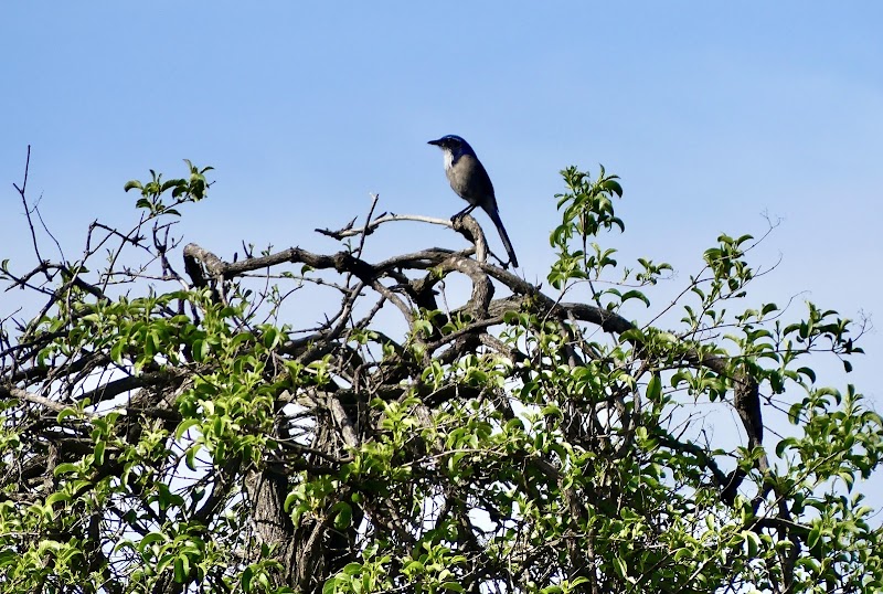 Pilgrim Creek Ecological Reserve