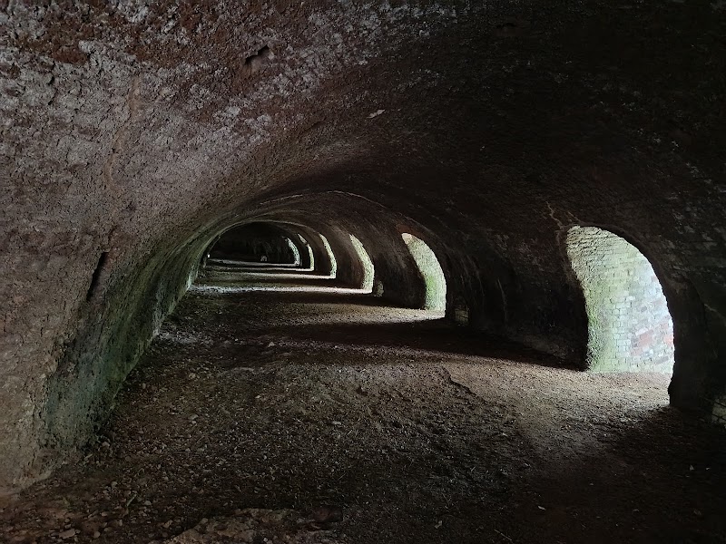 Llanymynech Rocks Nature Reserve (Montgomeryshire)