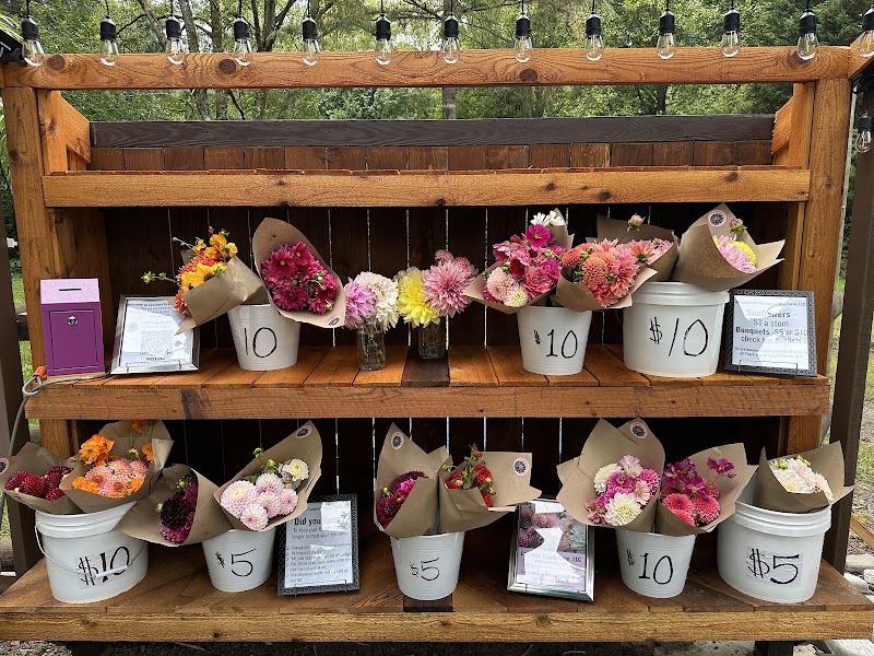 Lacamas Creek Farm. LLC