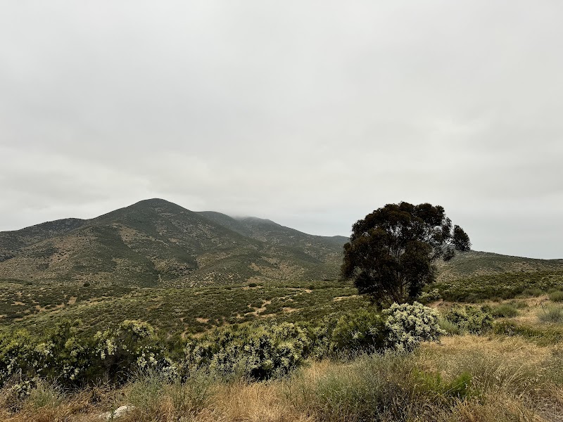 Upper Otay Reservoir Trailhead (Proctor Valley Road)