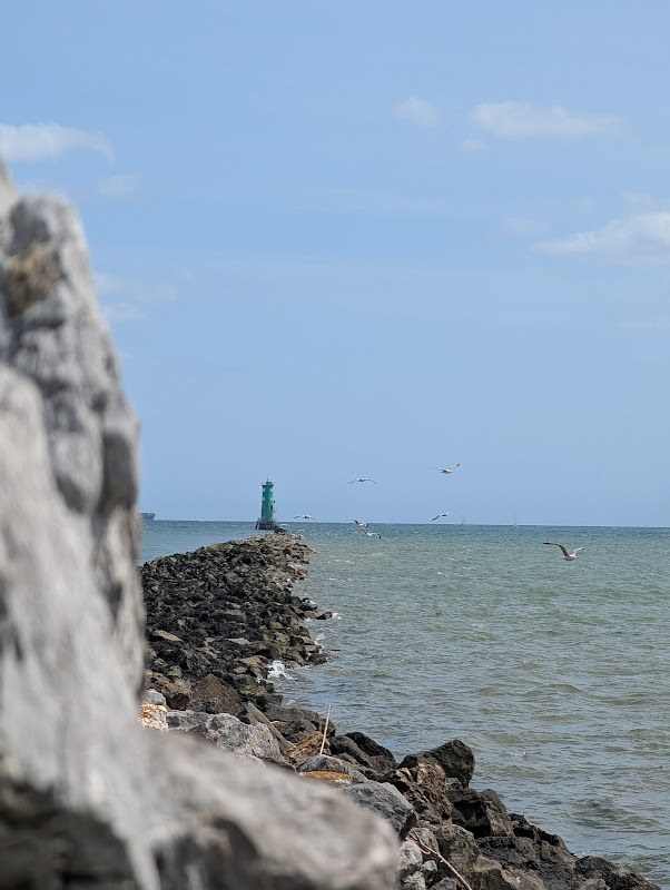 Bull Wall Swimming Shelter