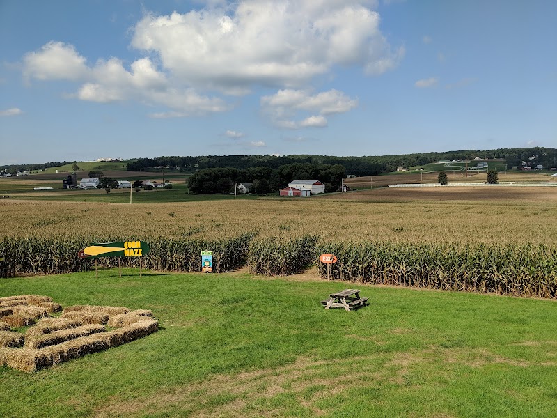 Mast Farms' Corn Maze, LLC