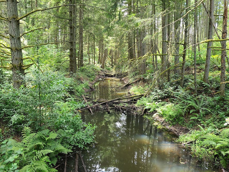 Mckay Marsh Nature Trail