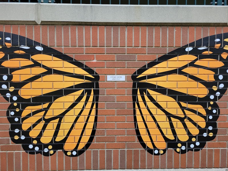 Monarch Butterfly Photo Op Mural