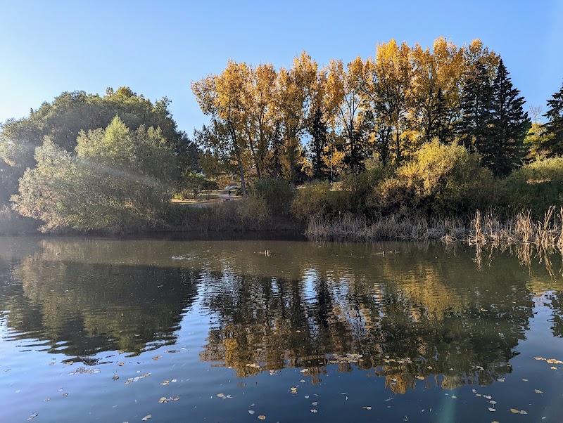 Duck Pond Viewing Platform