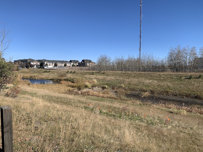 Wentworth Square Storm Pond