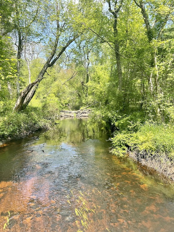 DNRT Paskamansett Woods