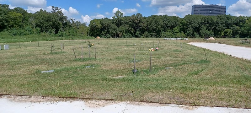Madina Cemetery (Aldine Cemetery)