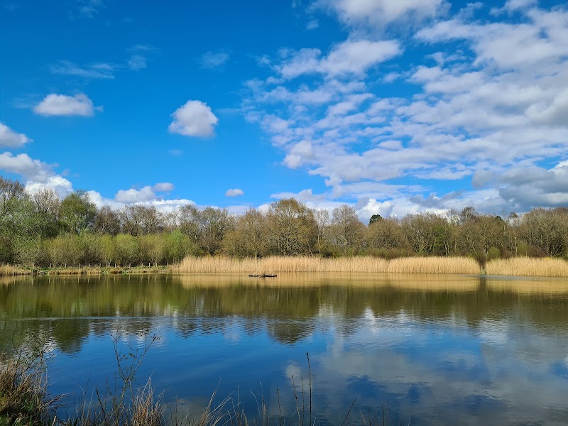Lindow Common (SSSI & LNR)