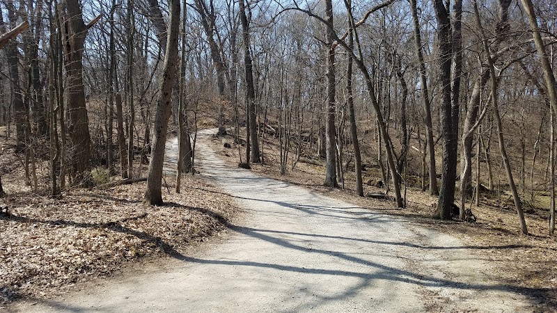 Palos Park Woods-North