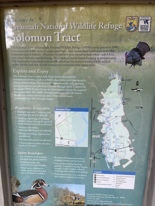 Solomon Tract Trail, Savannah National Wildlife Refuge