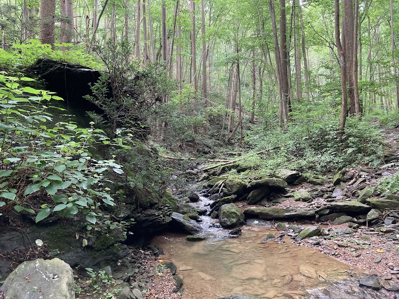 Apollo County Park, Brogue, PA