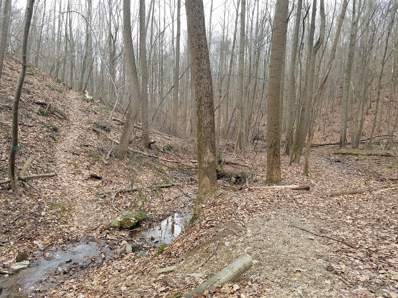 Apollo County Park, Brogue, PA