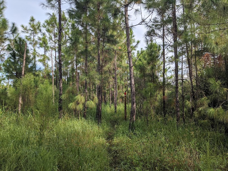CREW Flint Pen Strand Trails