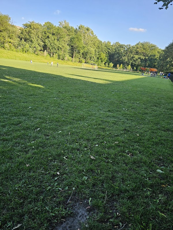 Roberto Clemente Park