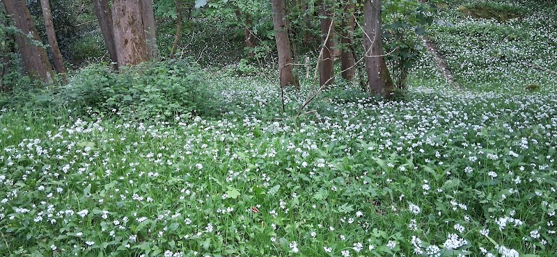 Edge of Severn valley country park