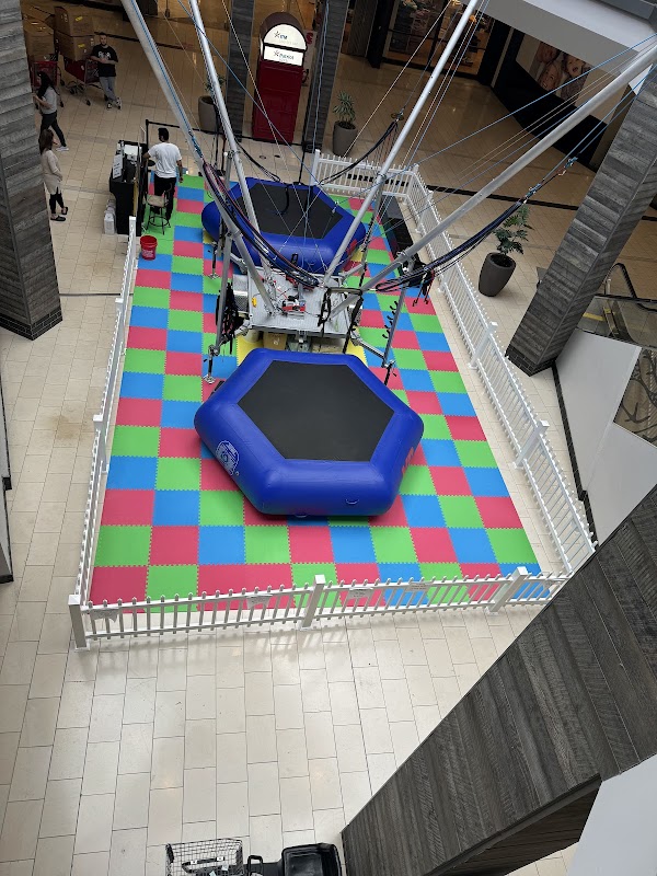 Jump Zone Bungee Trampoline