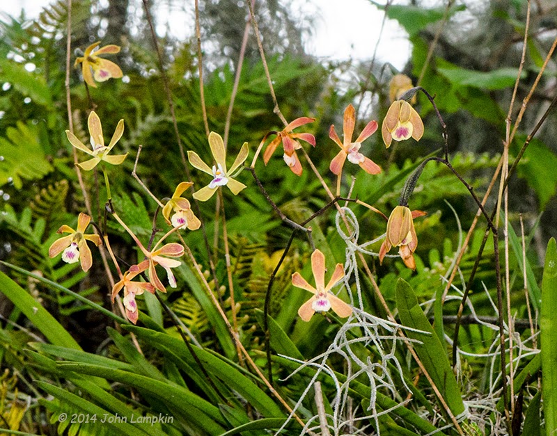 Camp Bayou Outdoor Learning Center