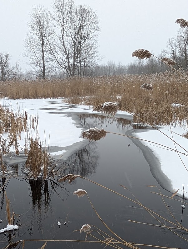 Southern Meadow/Quaker Pond Trailhead
