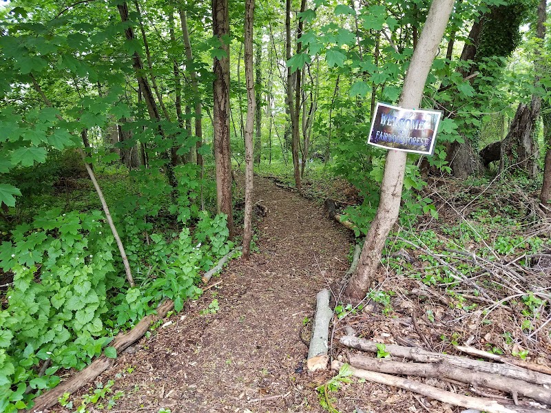 Fairwood Forest