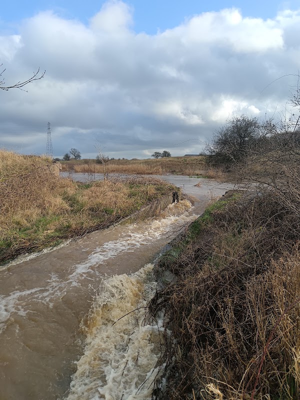 Sandersons brook walk