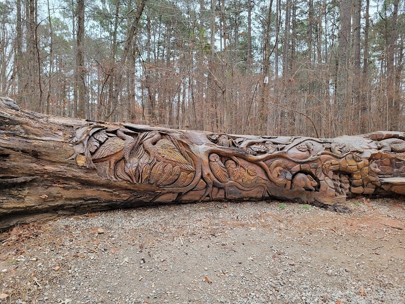 Chainsaw Log