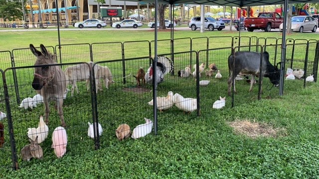 Ponies & Petting Zoo of Miami. LLC