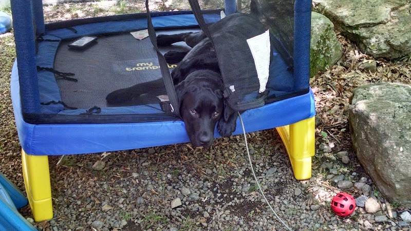 Ashford Recreation Commission