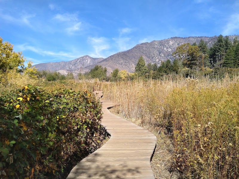 Oak Glen Preserve