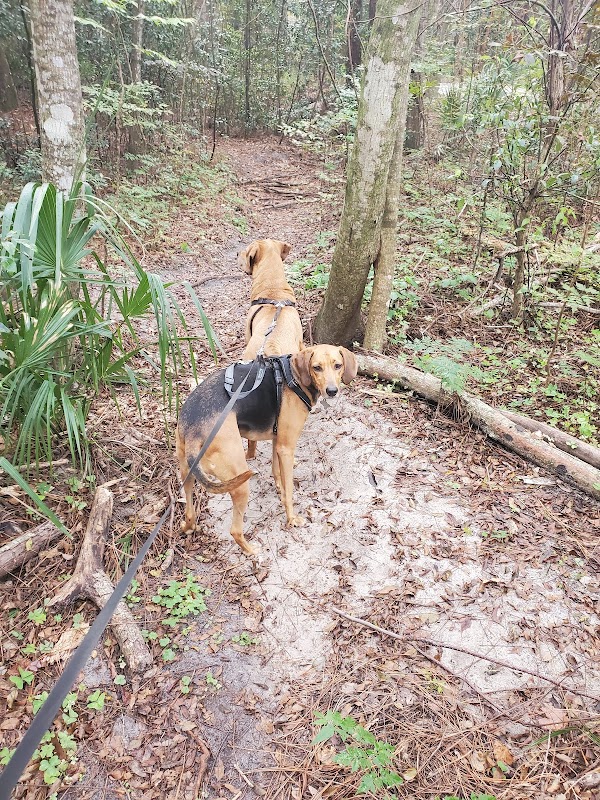 Seminole Wekiva Trail - Seminole County Softball Complex