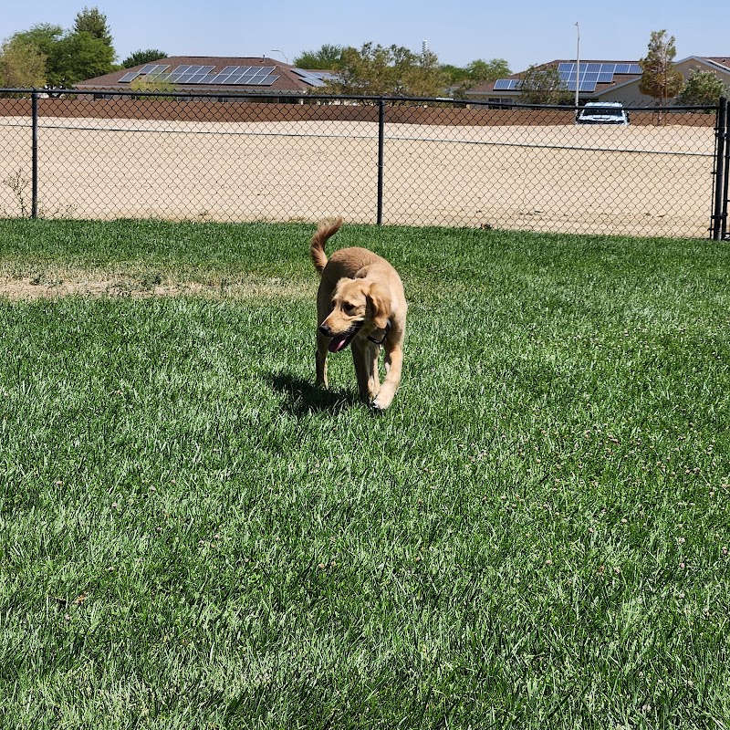 Dog Park