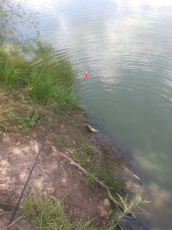 Chisholm Creek North Park