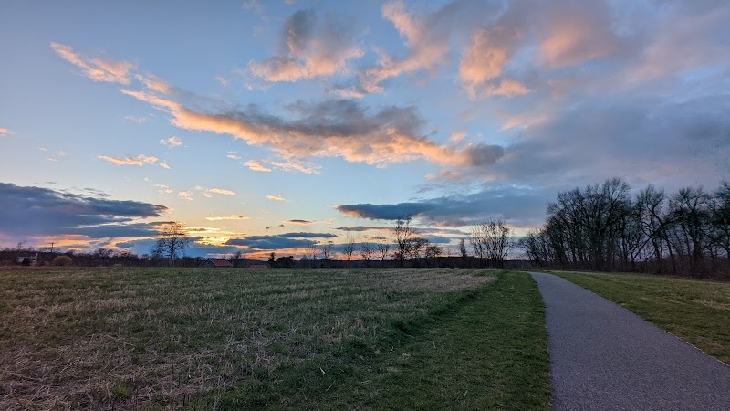 Brightside Farm Park