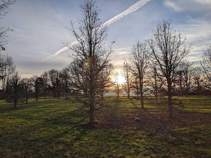 Wetland/Seasonal Trail