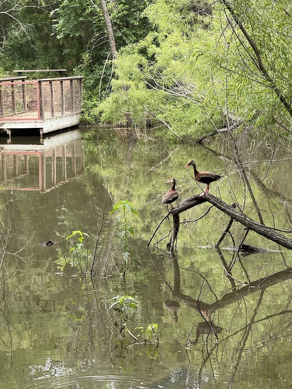 Blair Woods Nature Preserve