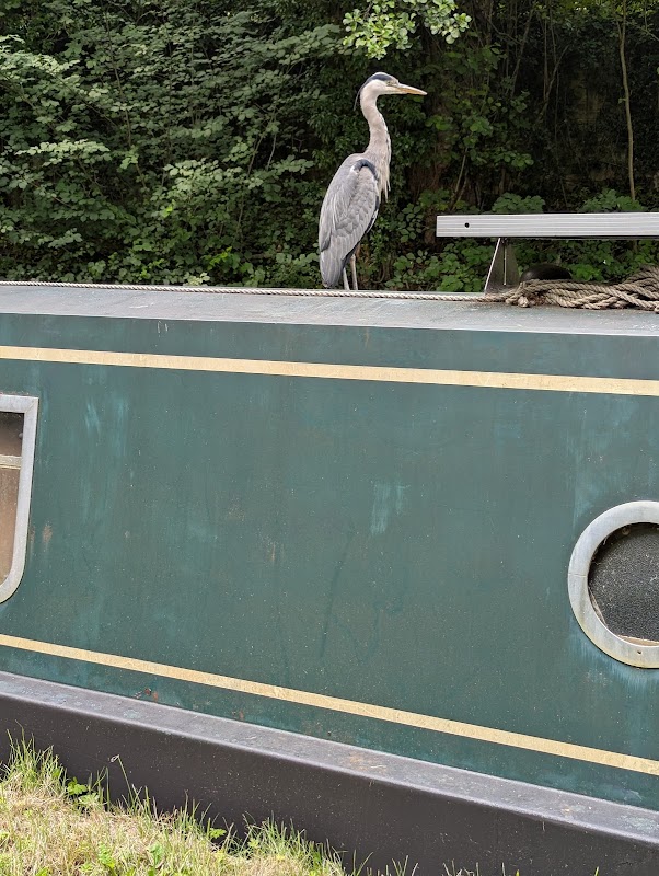 Peak Forest Tramway Trail
